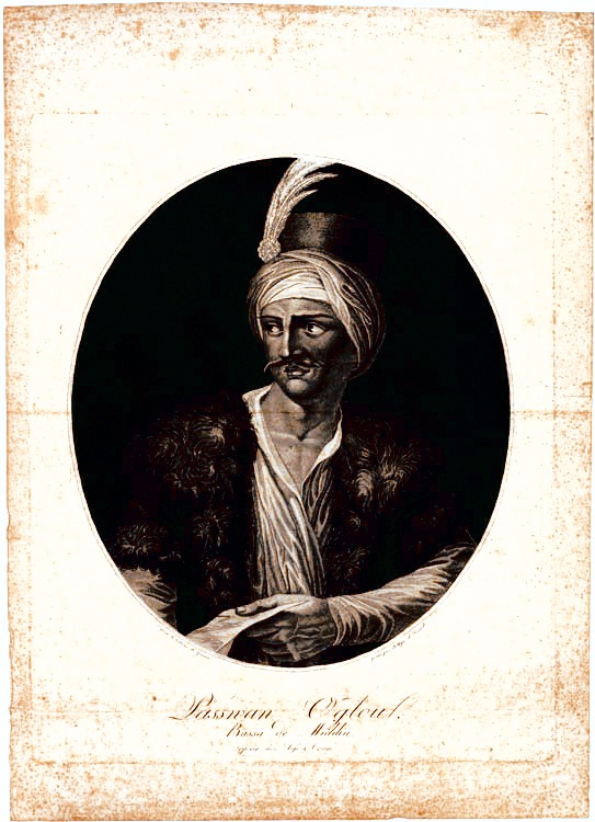 'Cine a fost Pazvante Chiorul? O poveste de la Dunăre' de Dr. I. F. Gheorghiev