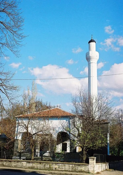 'Cine a fost Pazvante Chiorul? O poveste de la Dunăre' de Dr. I. F. Gheorghiev